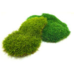 Preserved sheet moss - bestmoss