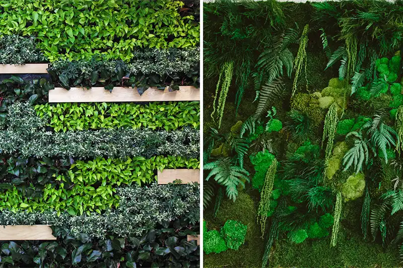 Preserved moss wall vs. Living wall - bestmoss