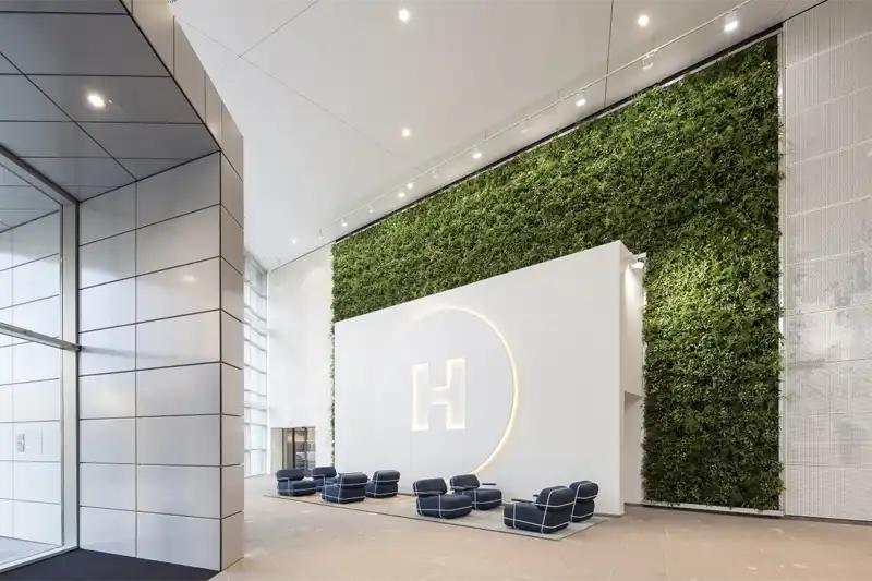 advantages of Green Walls in the workplace - bestmoss