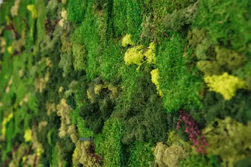 Bring in Nature's Tranquility To Home with moss wall - bestmoss