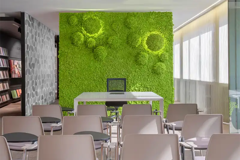 Using a moss wall as a partition - bestmoss