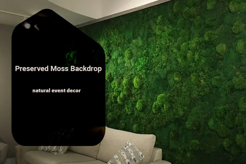 Preserved Moss Backdrops for Events | Best Moss