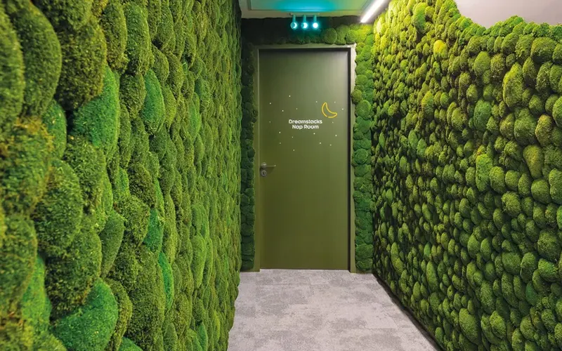 Vertical garden with Preserved moss | Best Moss