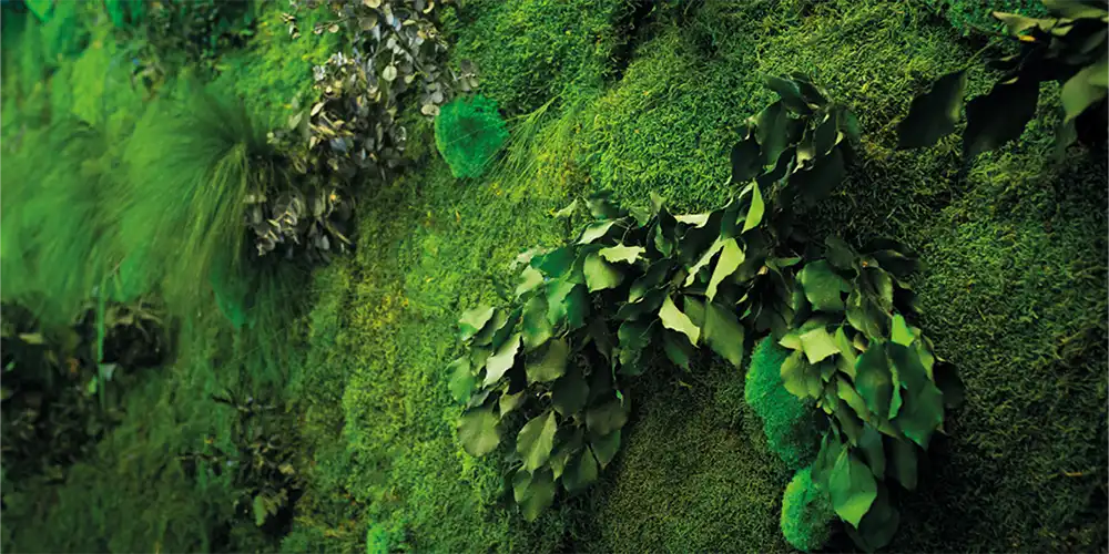 ماس وال یا دیوار سبز خزه ای از محبوب ترین انواع دیوار سبز - بست ماس