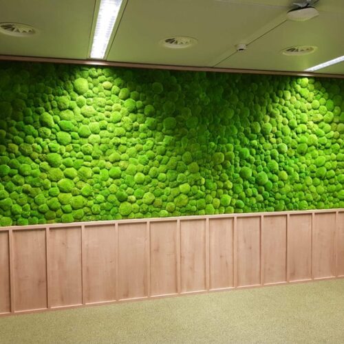 ماس وال - دیوار خزه ای - دیوار سبز خزه ای - moss wall - بست ماس