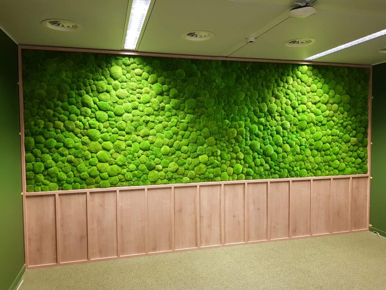 ماس وال - دیوار خزه ای - دیوار سبز خزه ای - moss wall - بست ماس