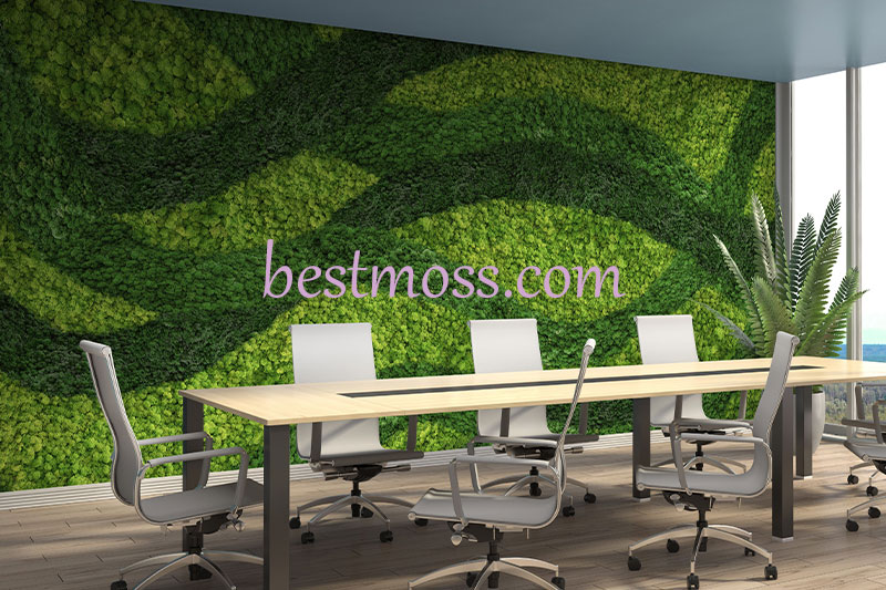 moss wall in office -دیوار خز‌ه‌ای در دفتر