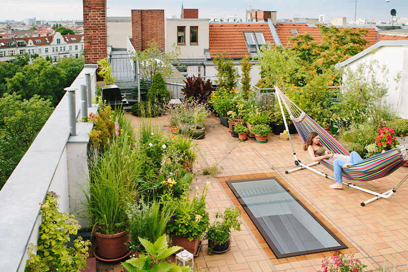 روف گاردن - roof garden