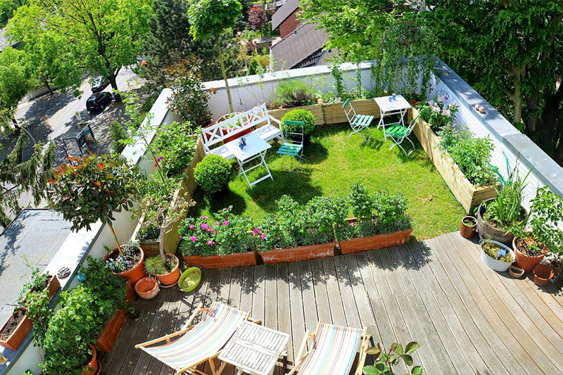 روف گاردن - roof garden