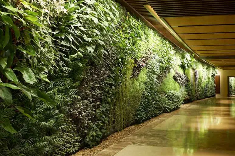 بست ماس - دیوار سبز تثبیت شده و مزایای آن در مقابل دیوار سبز طبیعی
