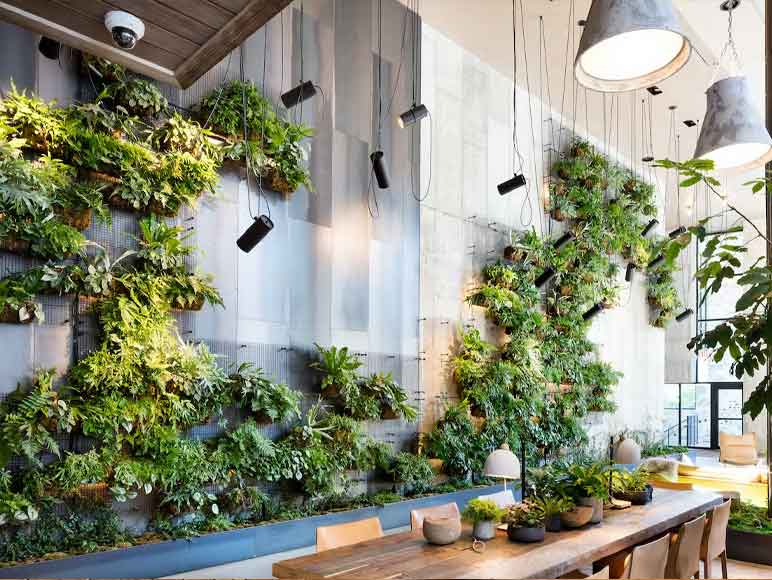 بست ماس - دیوار سبز مصنوعی در مقابل دیوار سبز زنده و طبیعی