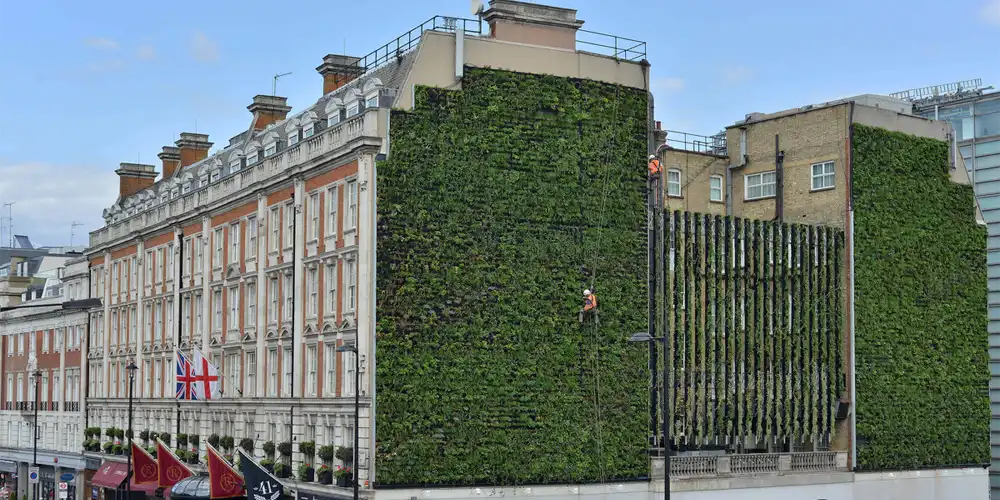 دیوار خزه‌ ای "The Living Wall" در لندن، انگلستان - بست ماس