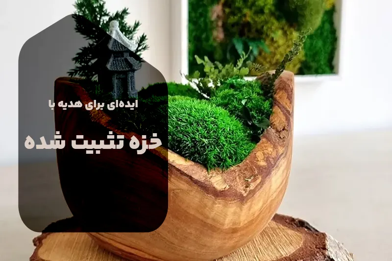 بهترین ایده‌های هدیه برای هر سلیقه - بست ماس