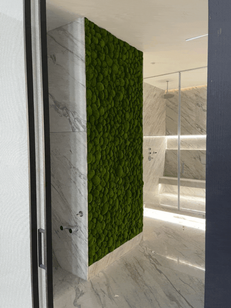 پروژه دیوار خزه ای